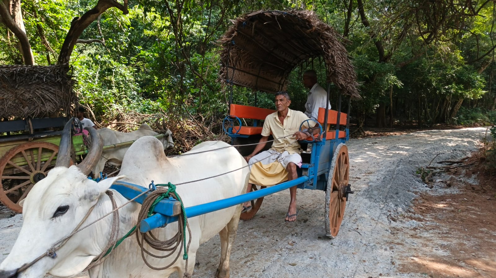 Bullock Cart Ride